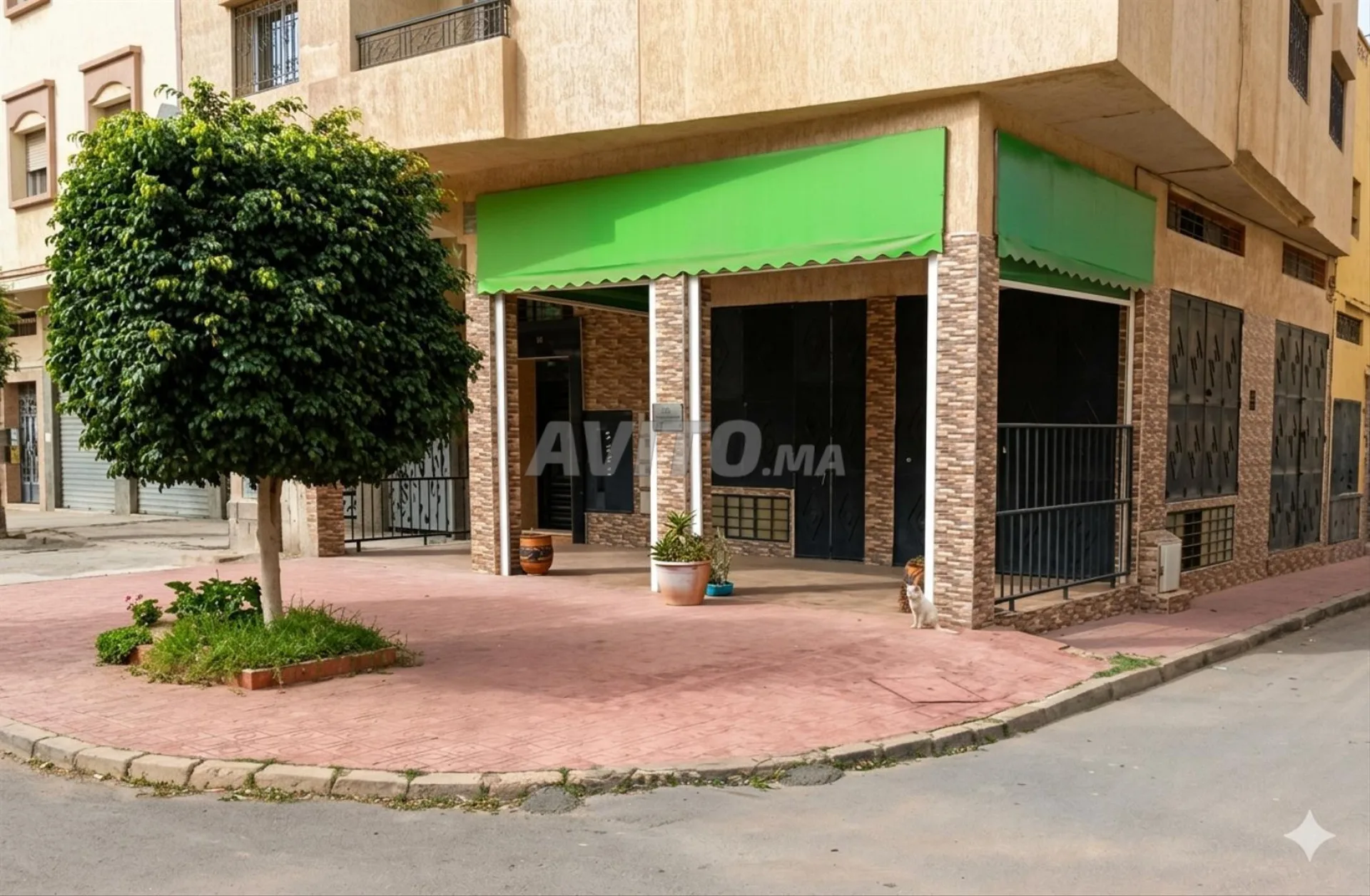 Location local et cave spacieuse pour stockage uniquement