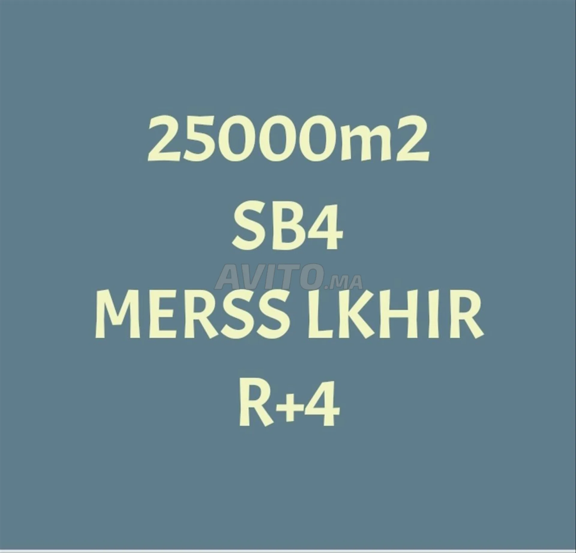 أرض 25000م² R4 تمارة