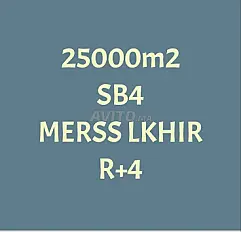 Terrain 25000m2 R4 Temara