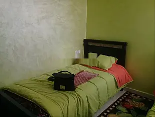 Appartement meublé à louer 60 m²