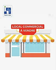 Commerces rentables de 63 à 252m² à Branes
