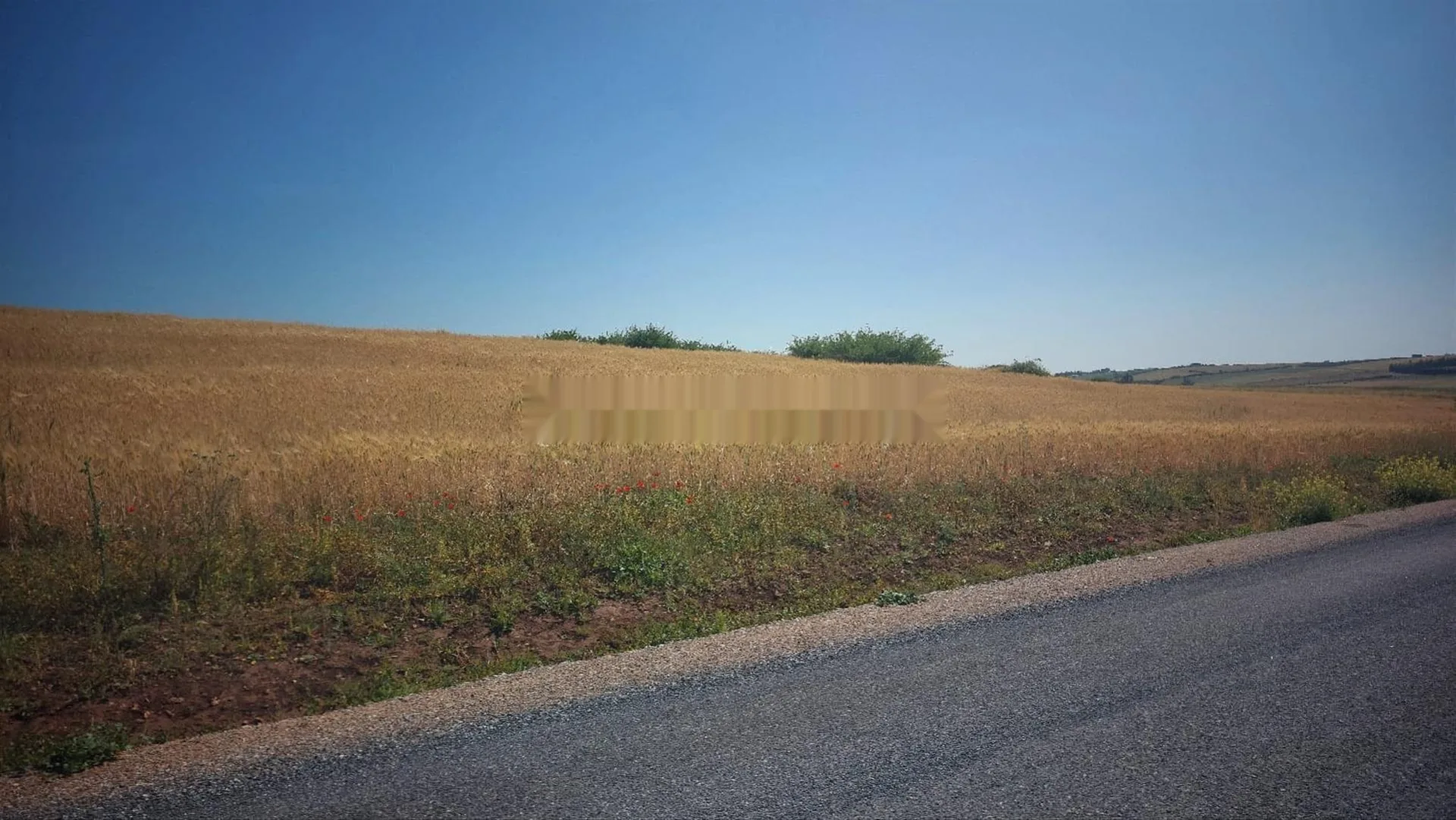 Terrain titre 12000m2 Om Sallat Kamouni