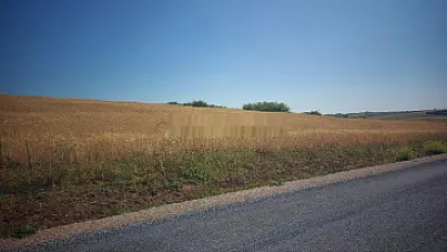 Terrain titre 12000m2 Om Sallat Kamouni