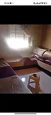 Bel