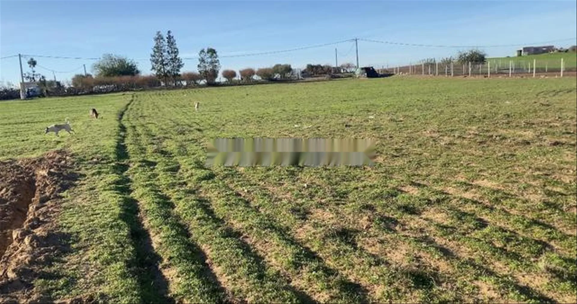 Terrains titrés pour habitation et investissement Bir Jedid