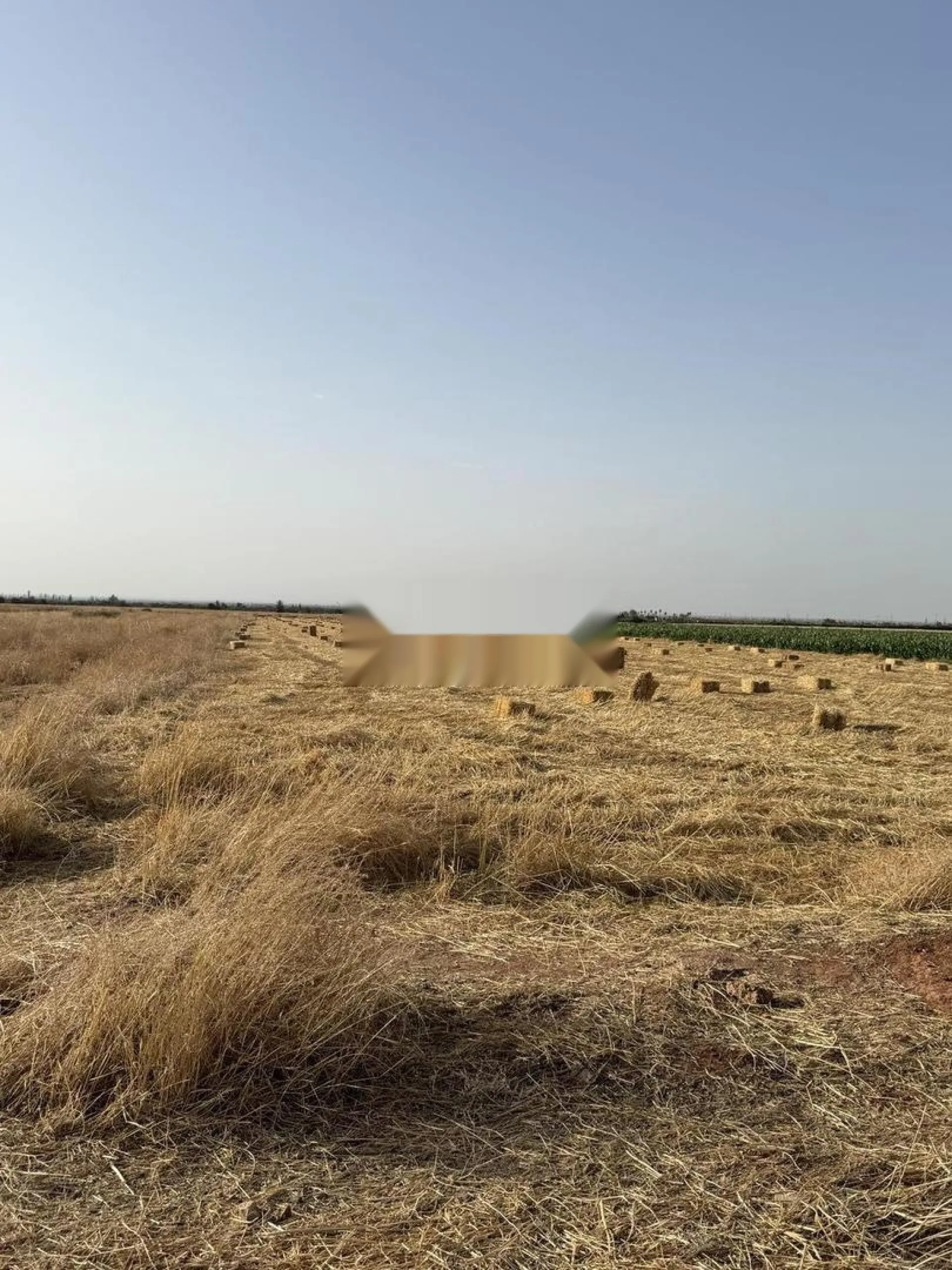 Terrain agricole à vendre, superficie un hectare et demi