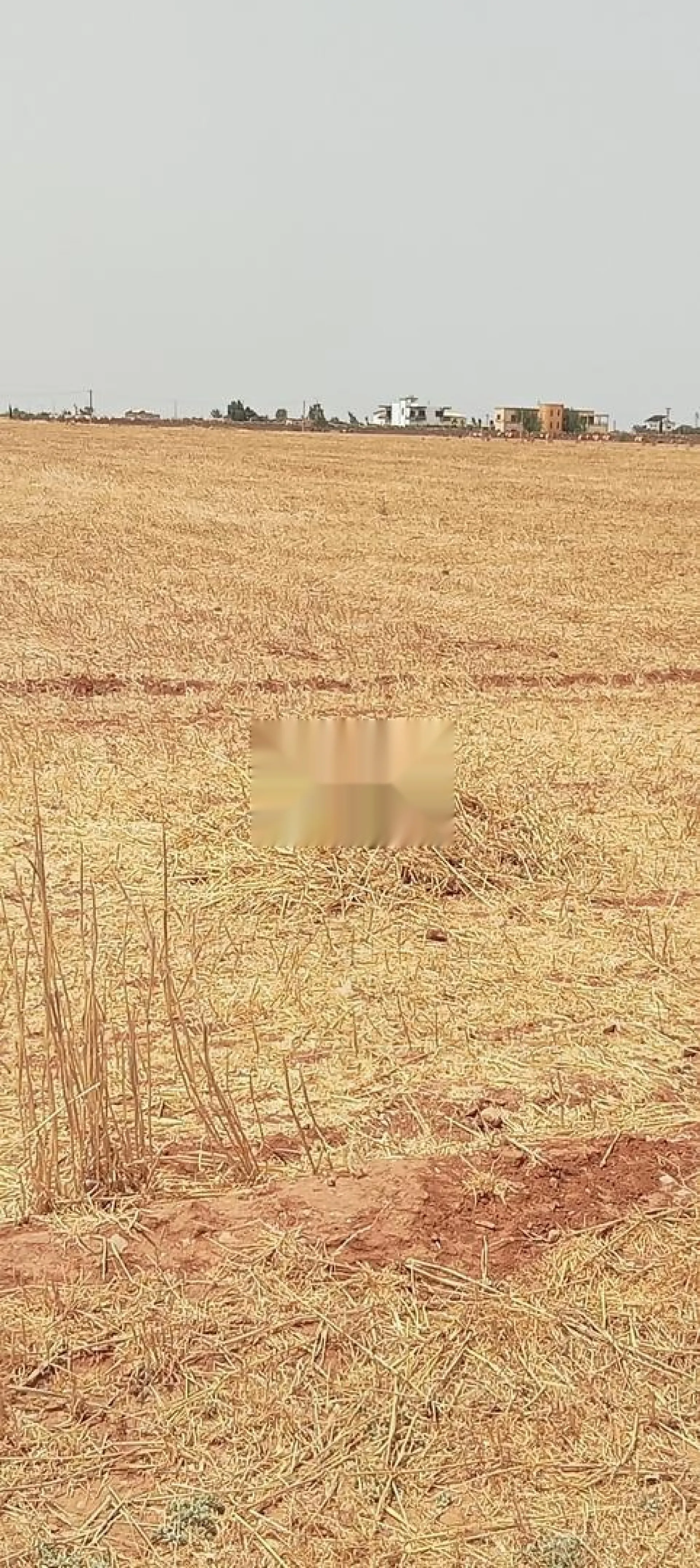 قطعة أرض فلاحية ممتازة في نواحي برشيد