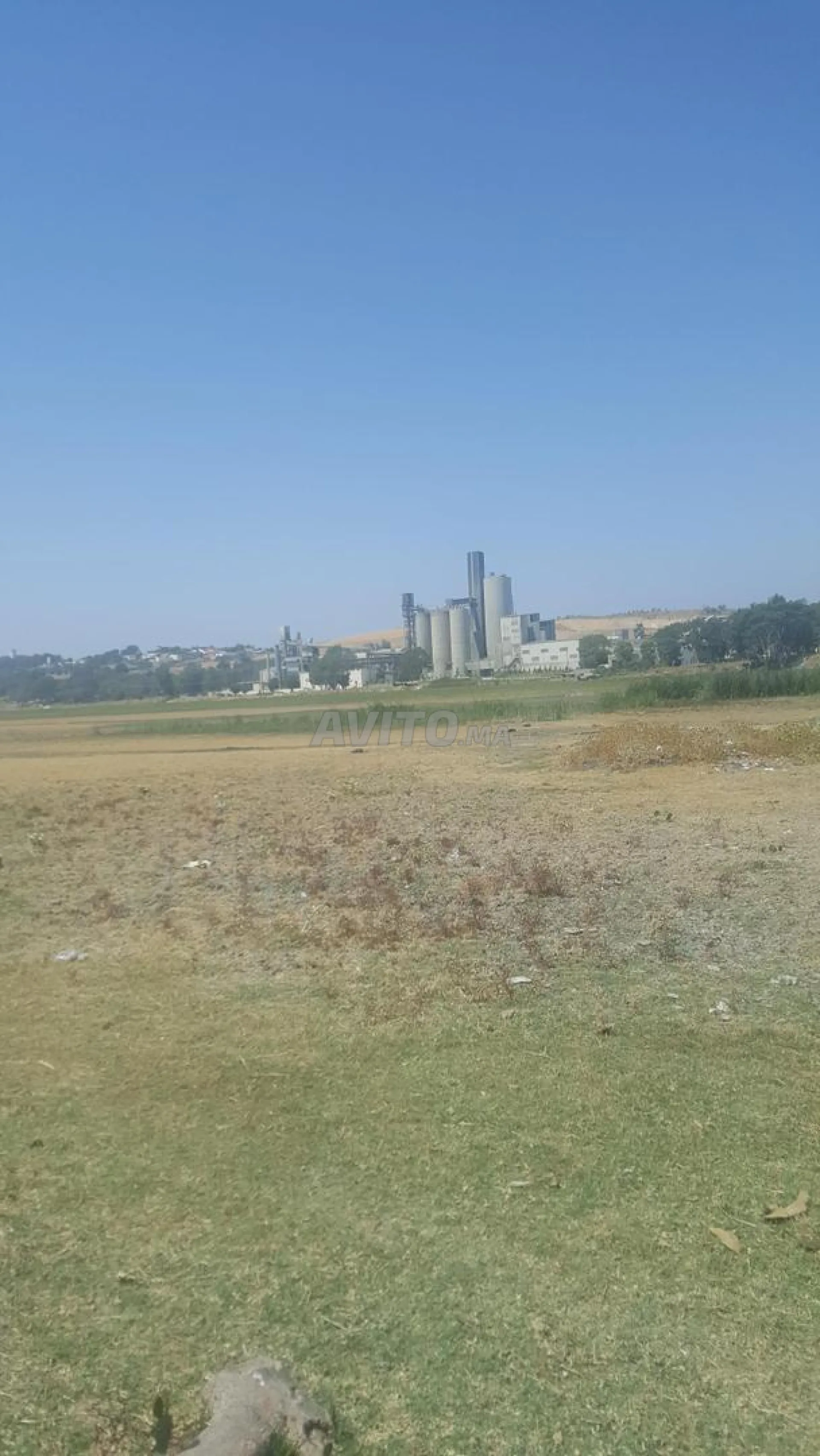 UN TERRAIN DE 27000M2 EN VENTE CHRAKA