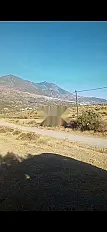 Terrains avec vue sur Chefchaouen, prix 300 Dh/m