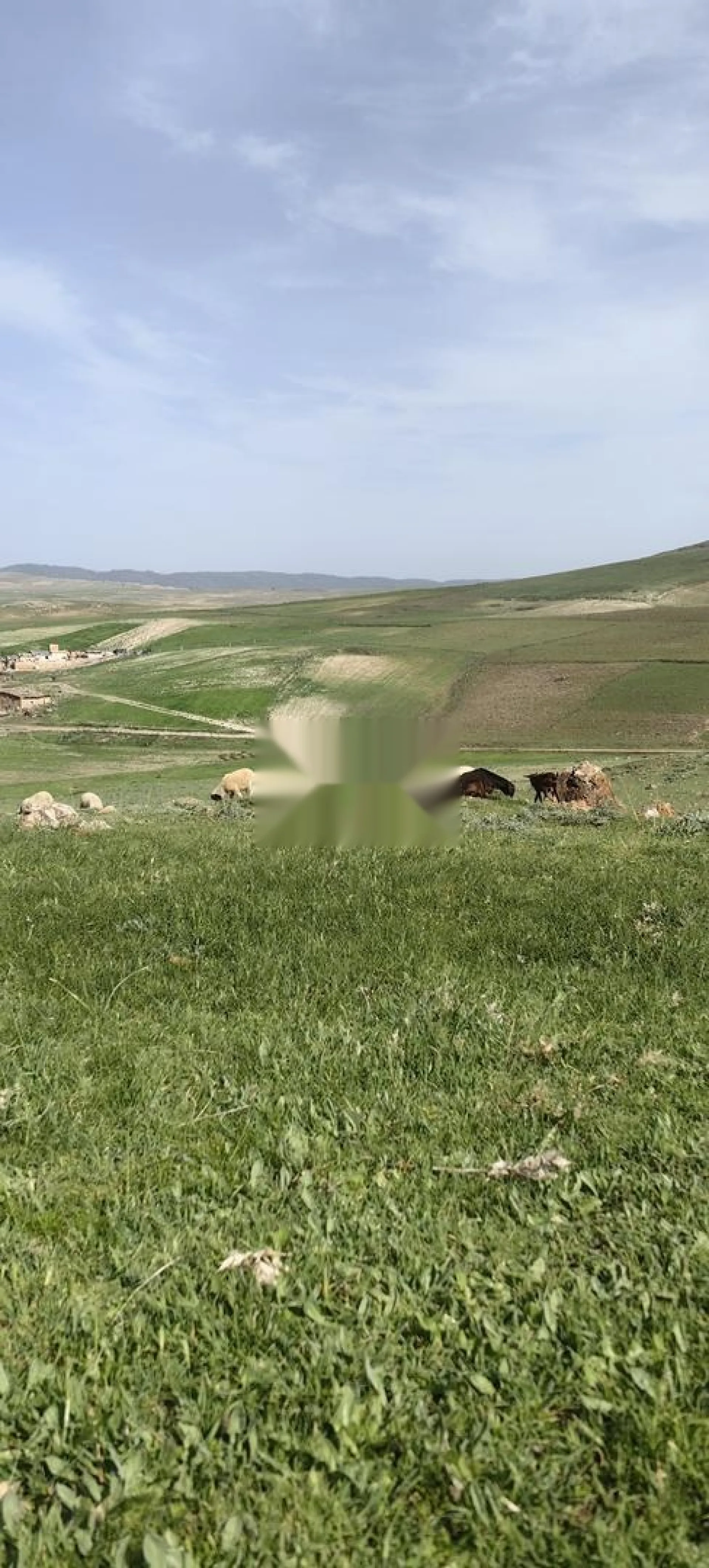 دوار أيت رحو أبو زيان إدلاوين سيدي مكفي