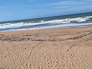 Terrain pour projet touristique vue sur mer