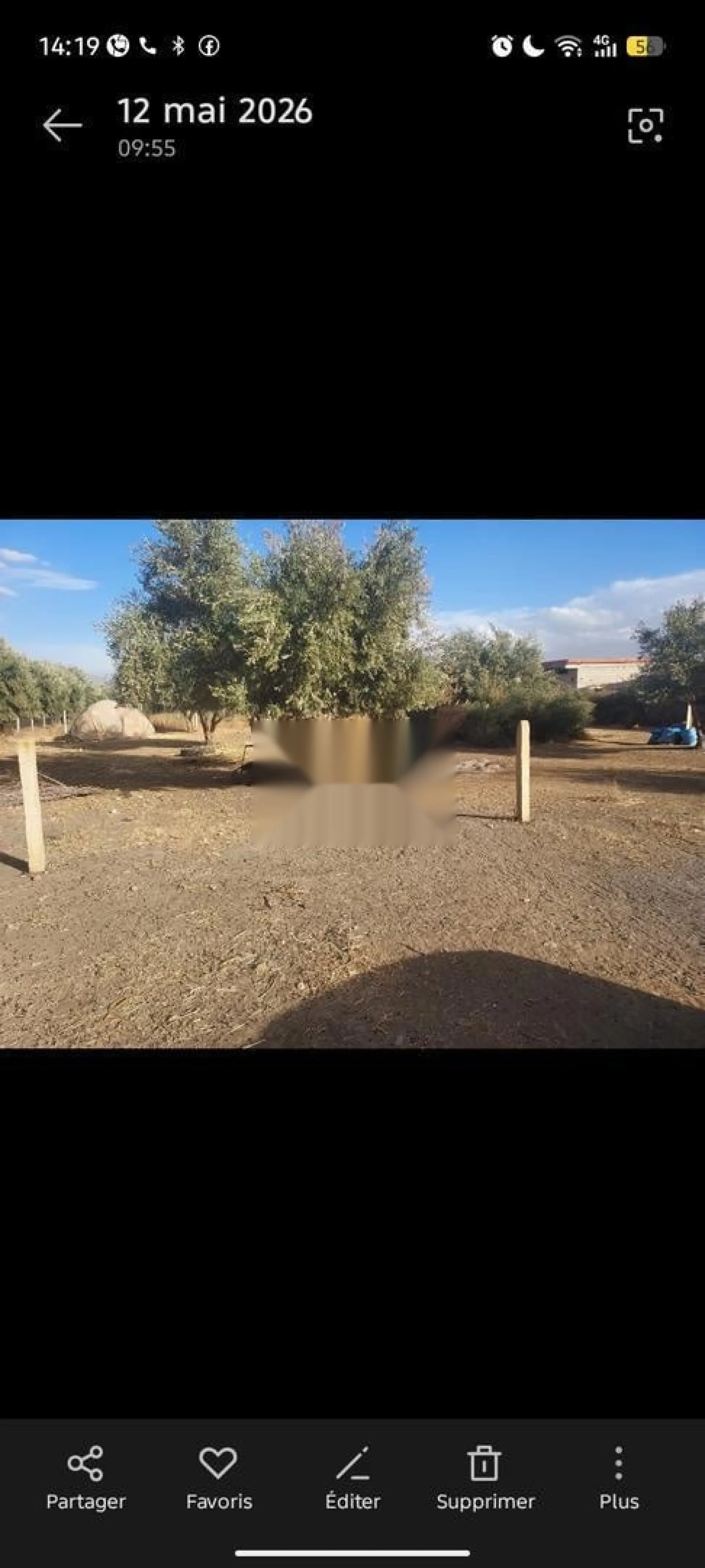 terrain Ain Karma 600m