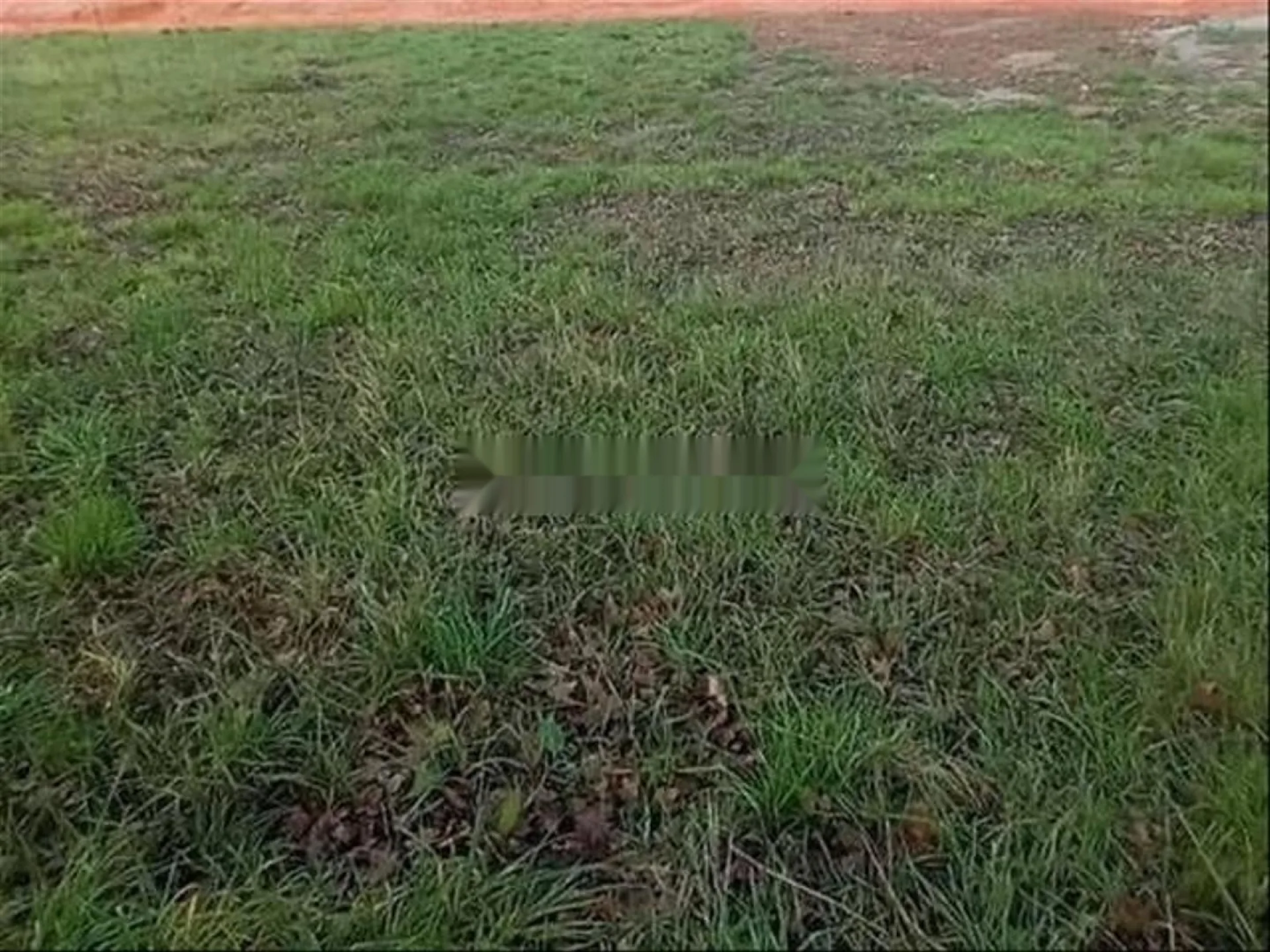 أرض للبيع عند مدخل أولاد فرج