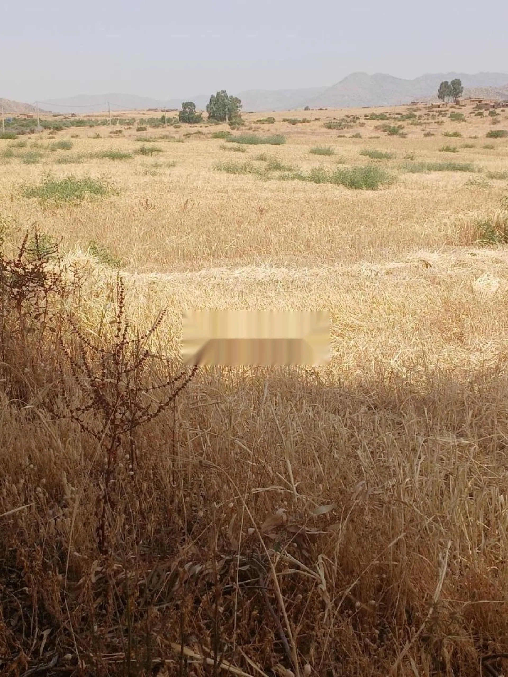 دوار أمحروق بولعين كاف نسور، خنيفرة