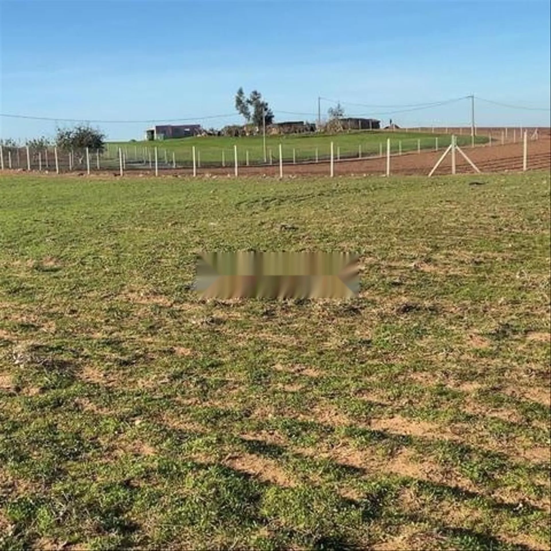 Terrains conservés et villas construites à vendre