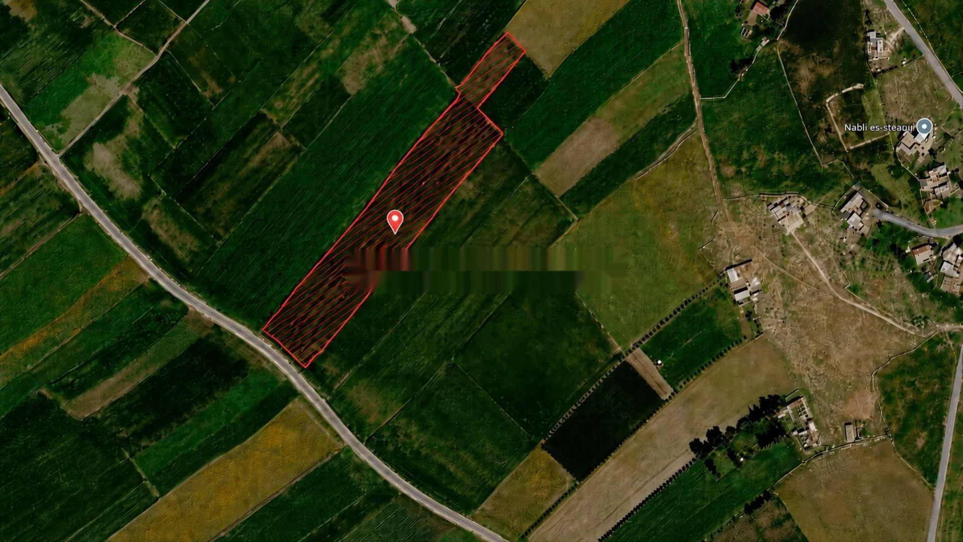 Terrain agricole 1,4 Hectares