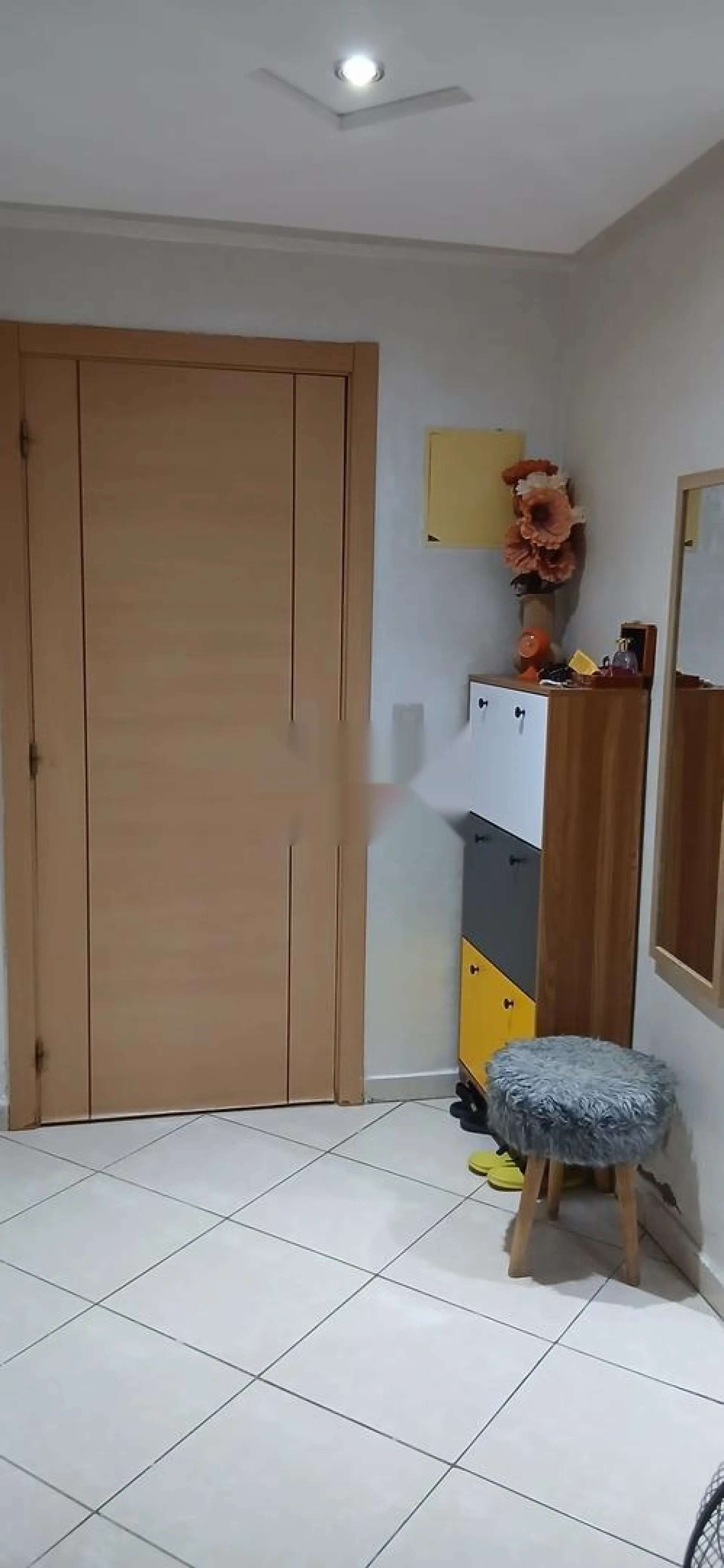 شقة