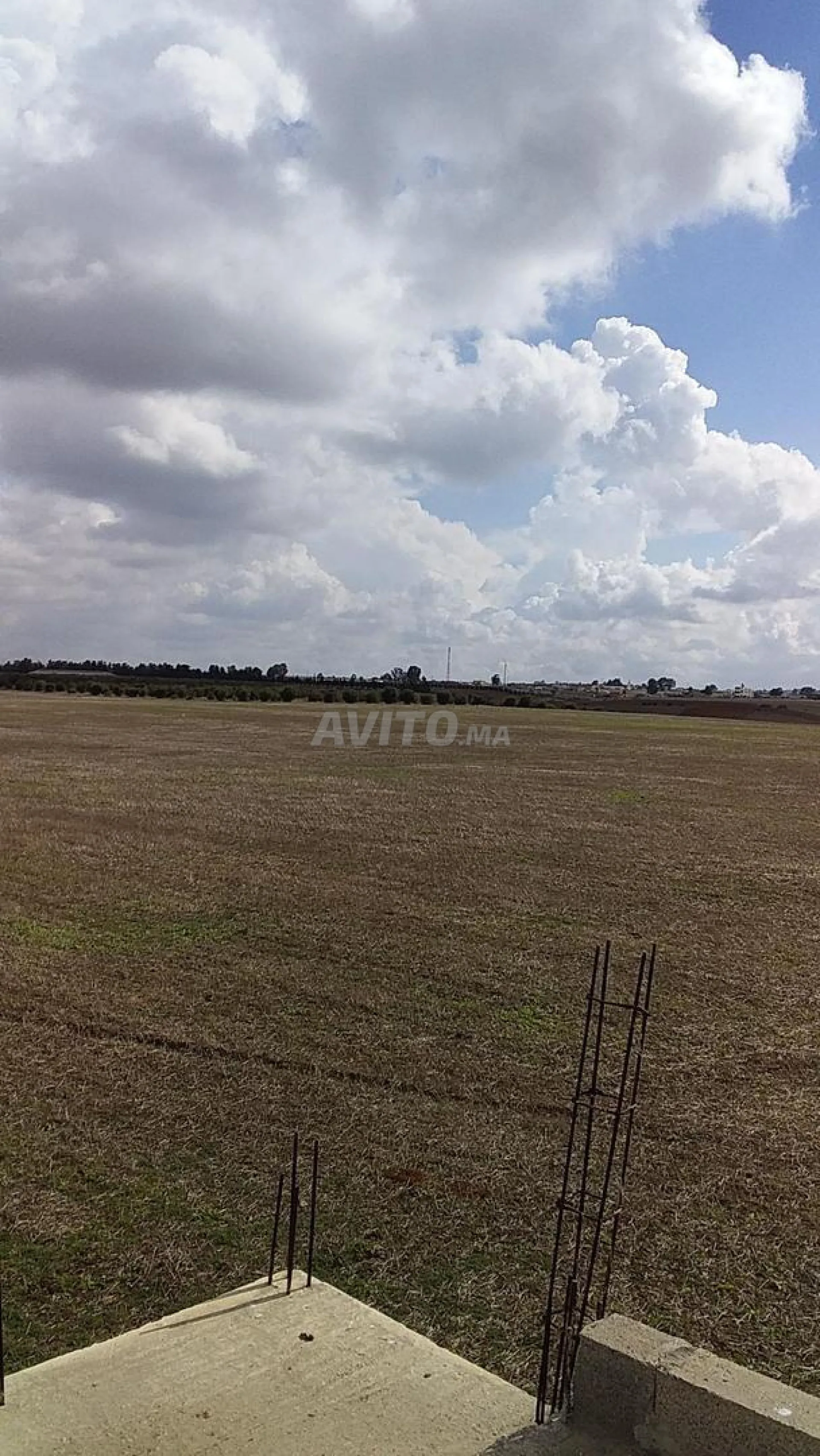 Vente ferme 75 ha Fedalat province Bensliman
