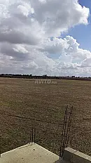 Vente ferme 75 ha Fedalat province Bensliman