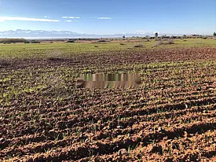 Terrain d'exception avec vue sur l'Atlas