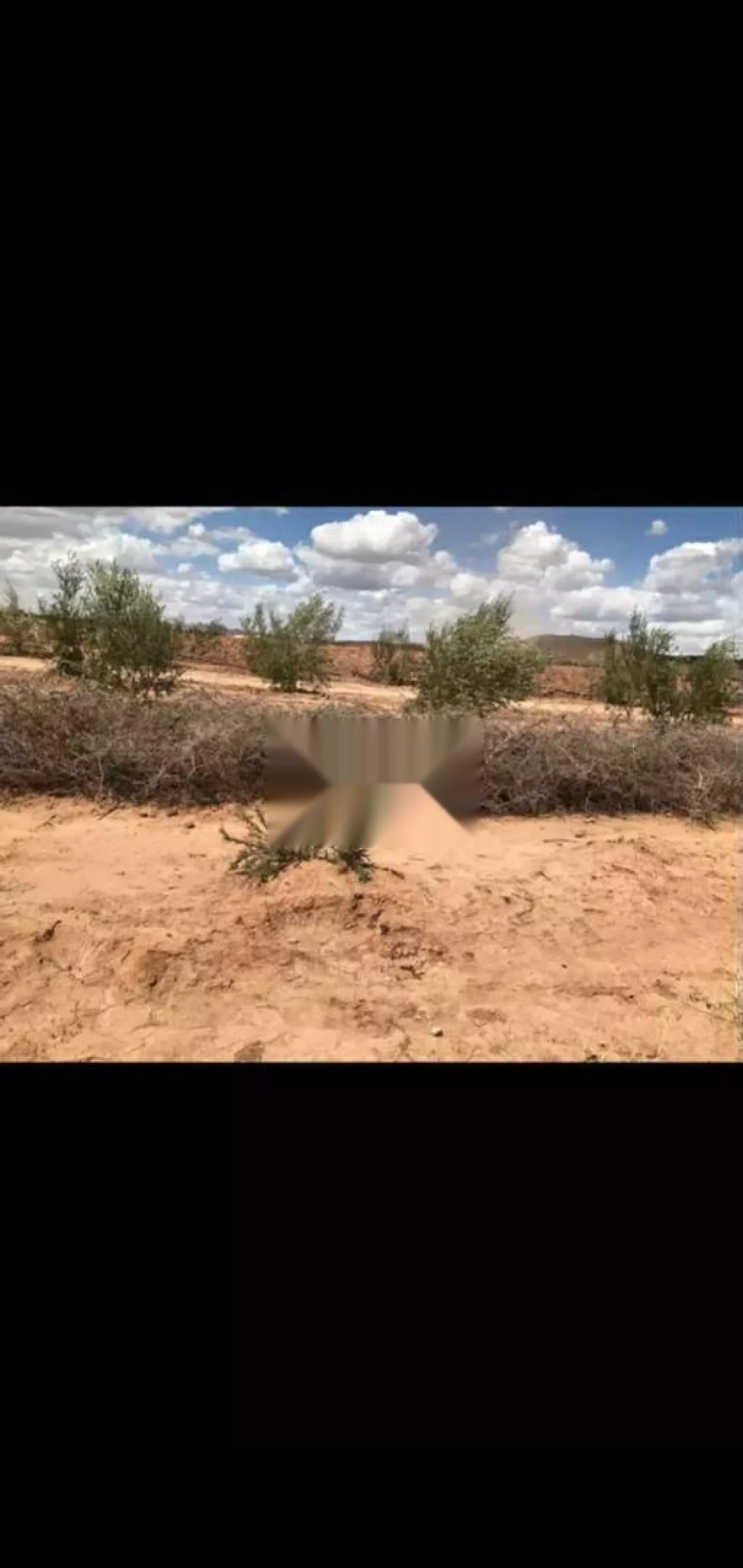 أرض استثنائية بمساحة 12 958 م² بالقرب من مراكش