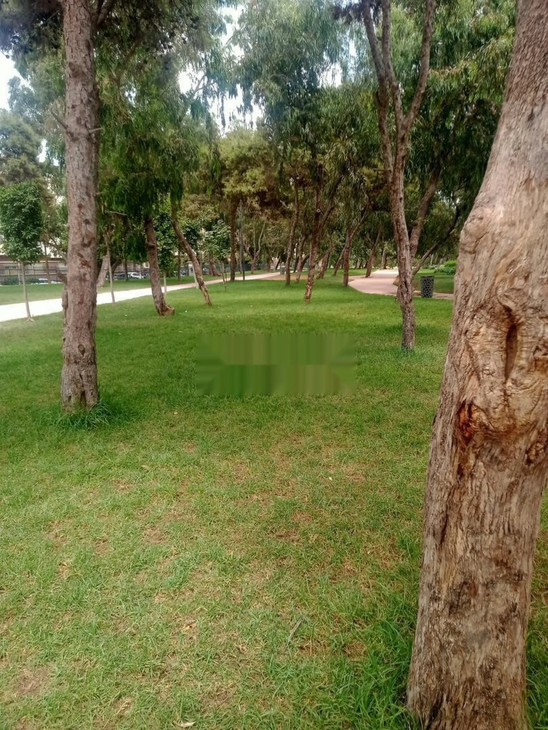شقة مفروشة للإيجار