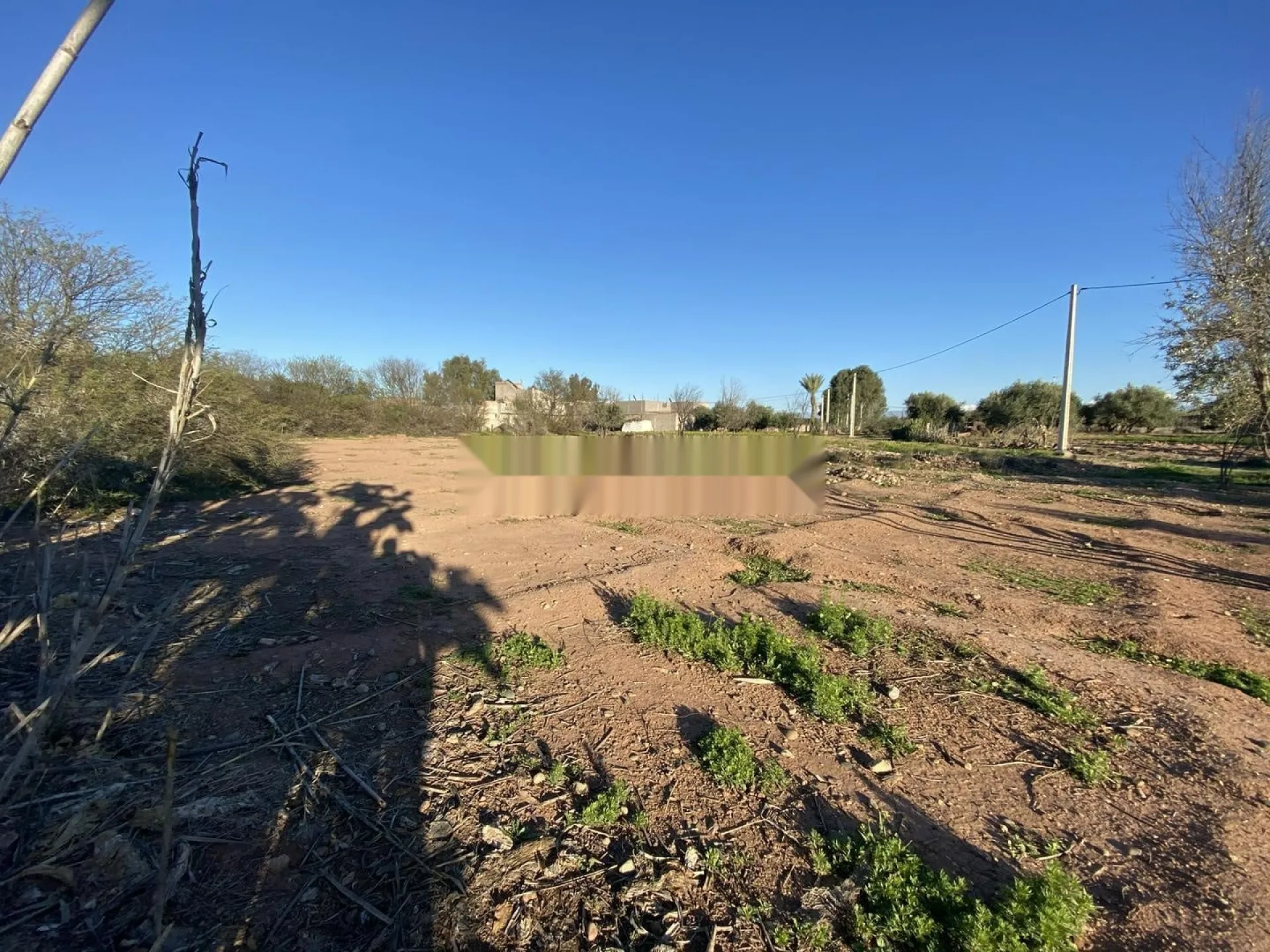 Terrain titré
