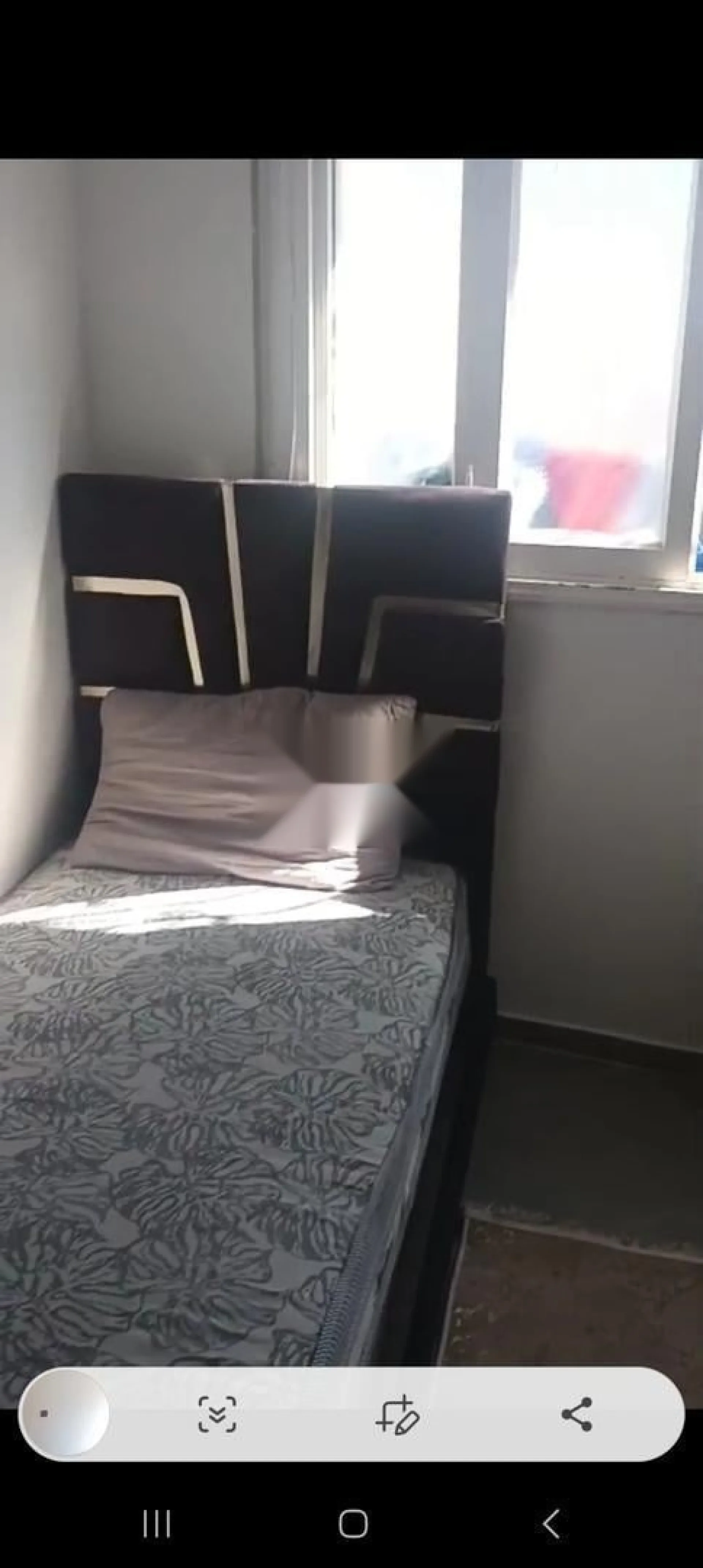 مسنا مع بارادا