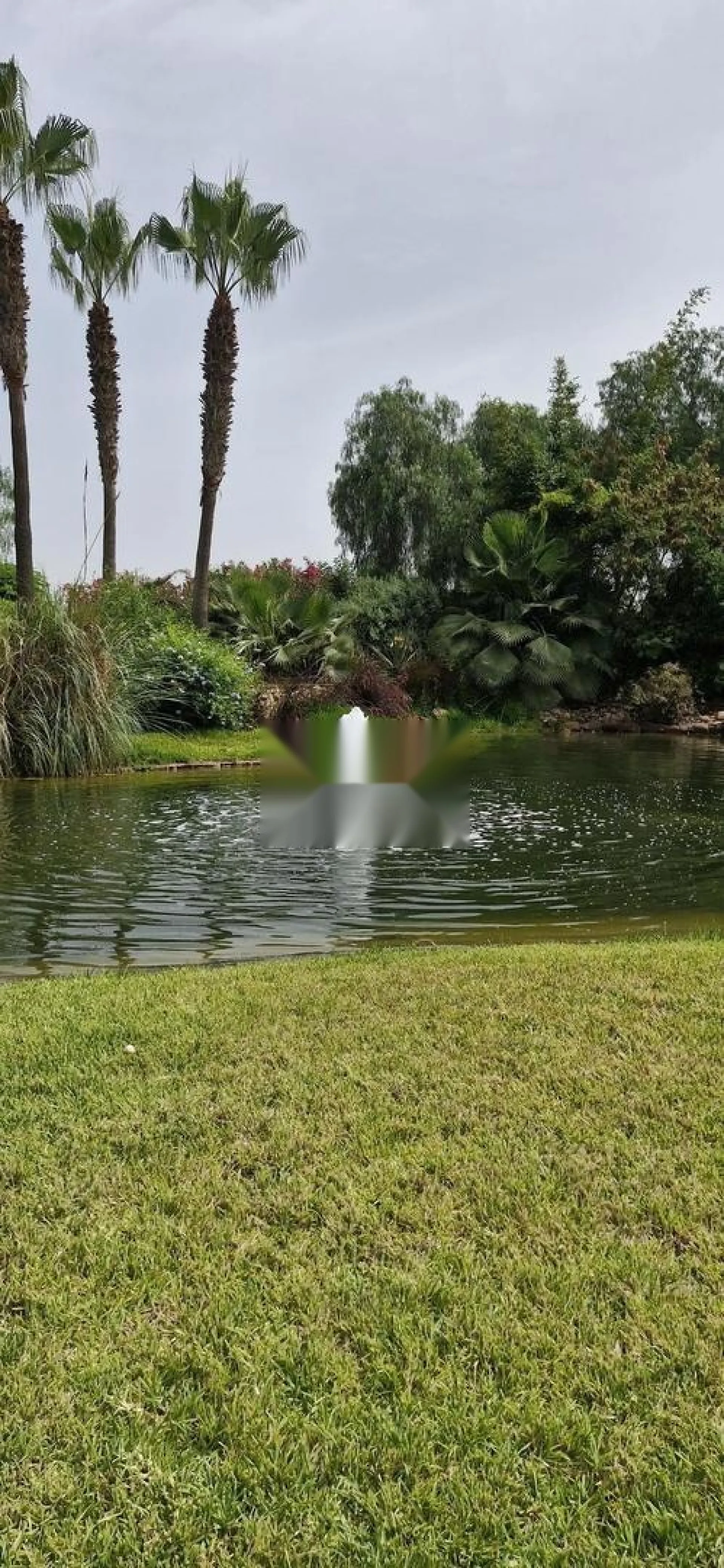 Magnifique rez de jardin à vendre