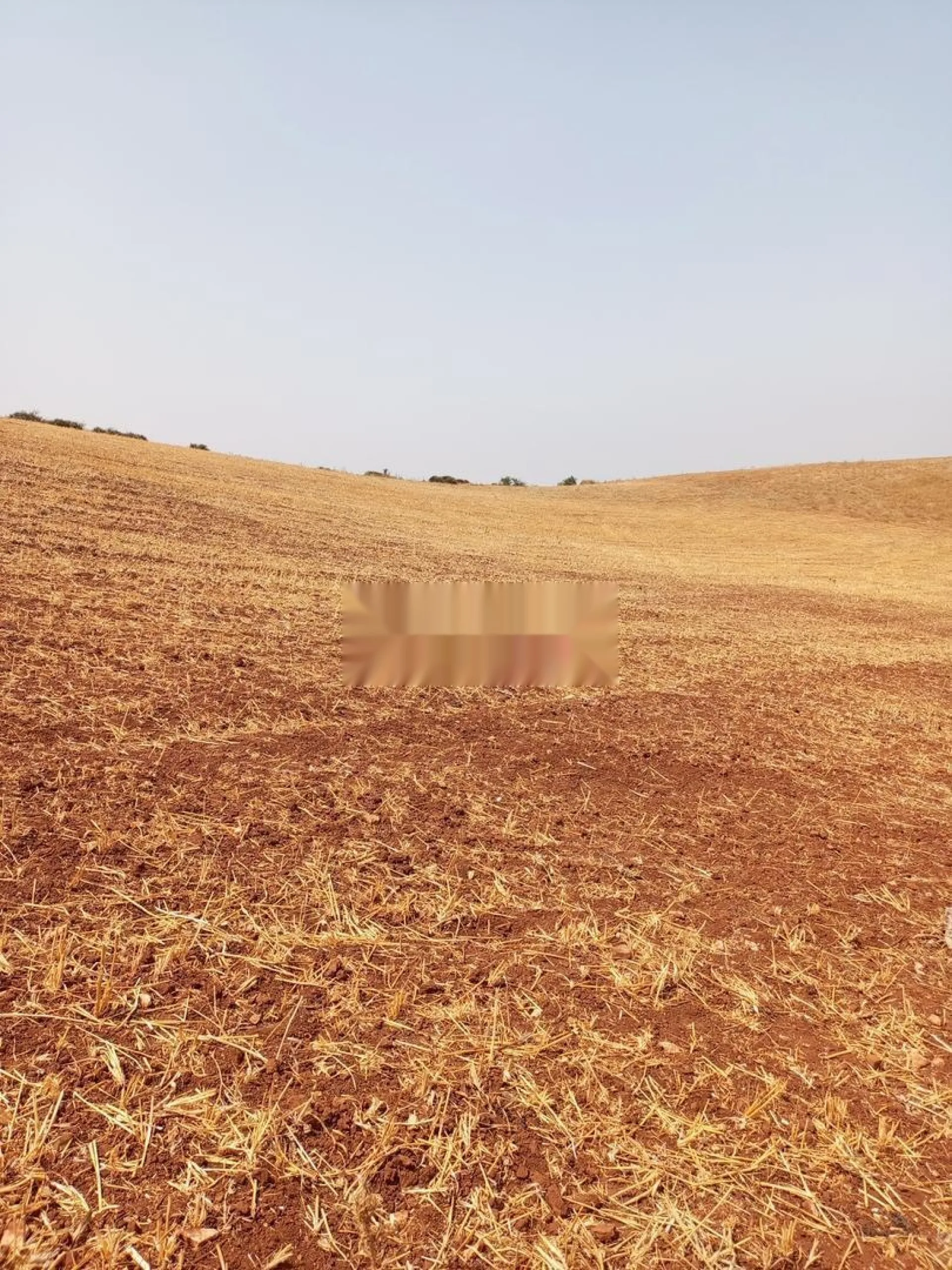 vente terrain Agricole 40 hectares