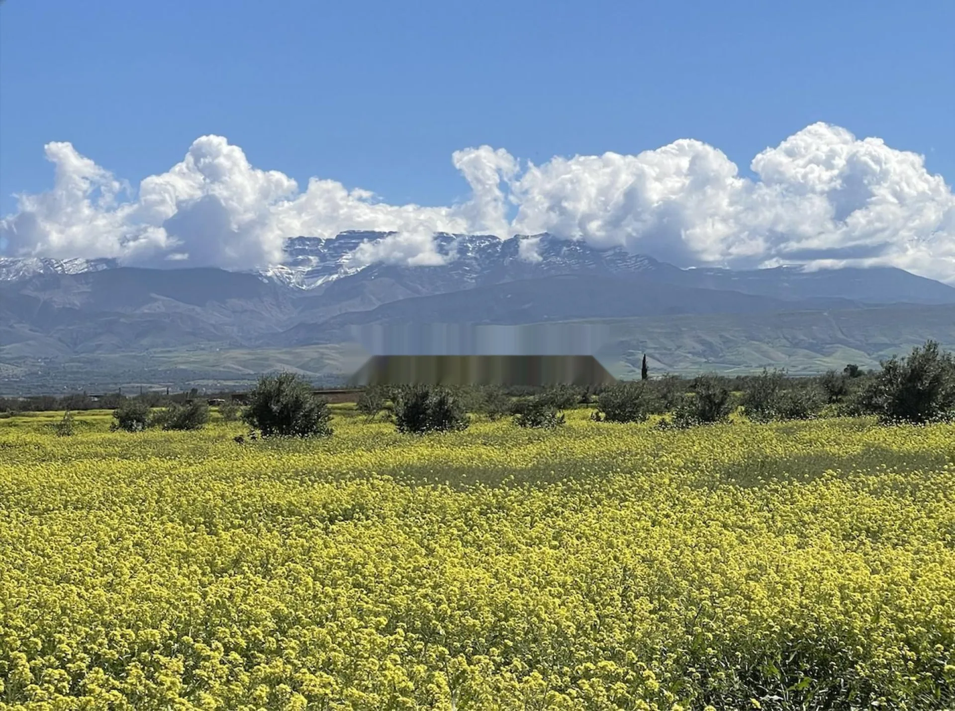 TERRAIN À TAMAZOUZT DANS LA VALLÉE D'OURIKA, MARRAKECH