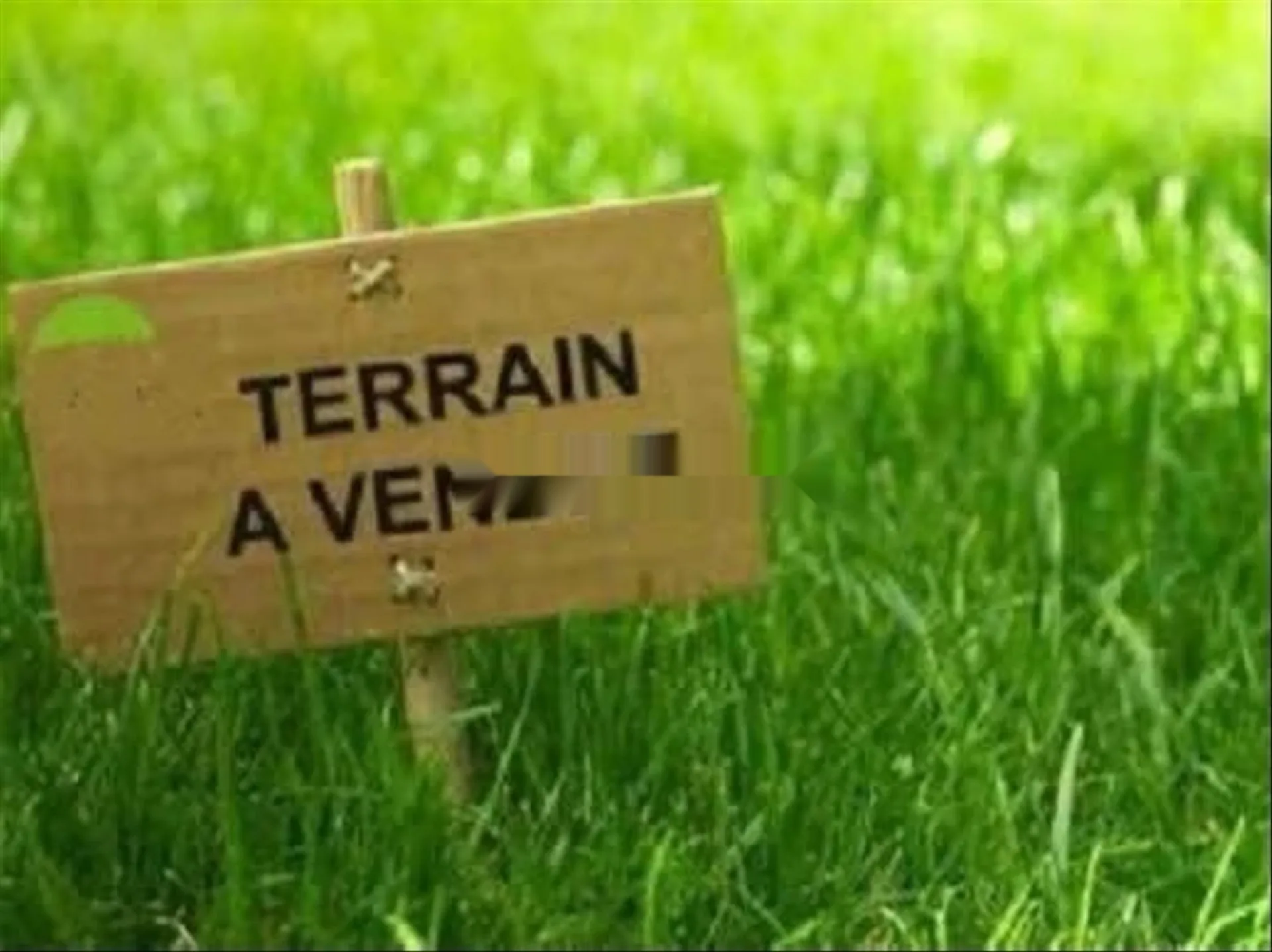 À VENDRE TERRAINS I2RI À AIN SBAA