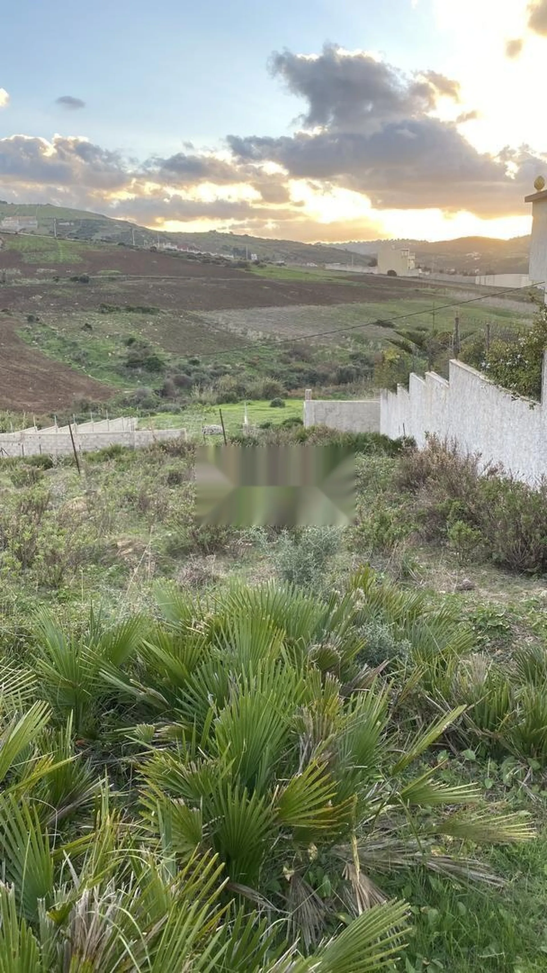 Terrain agricole à vendre 369 m², situé entre Kankouch et Zraara