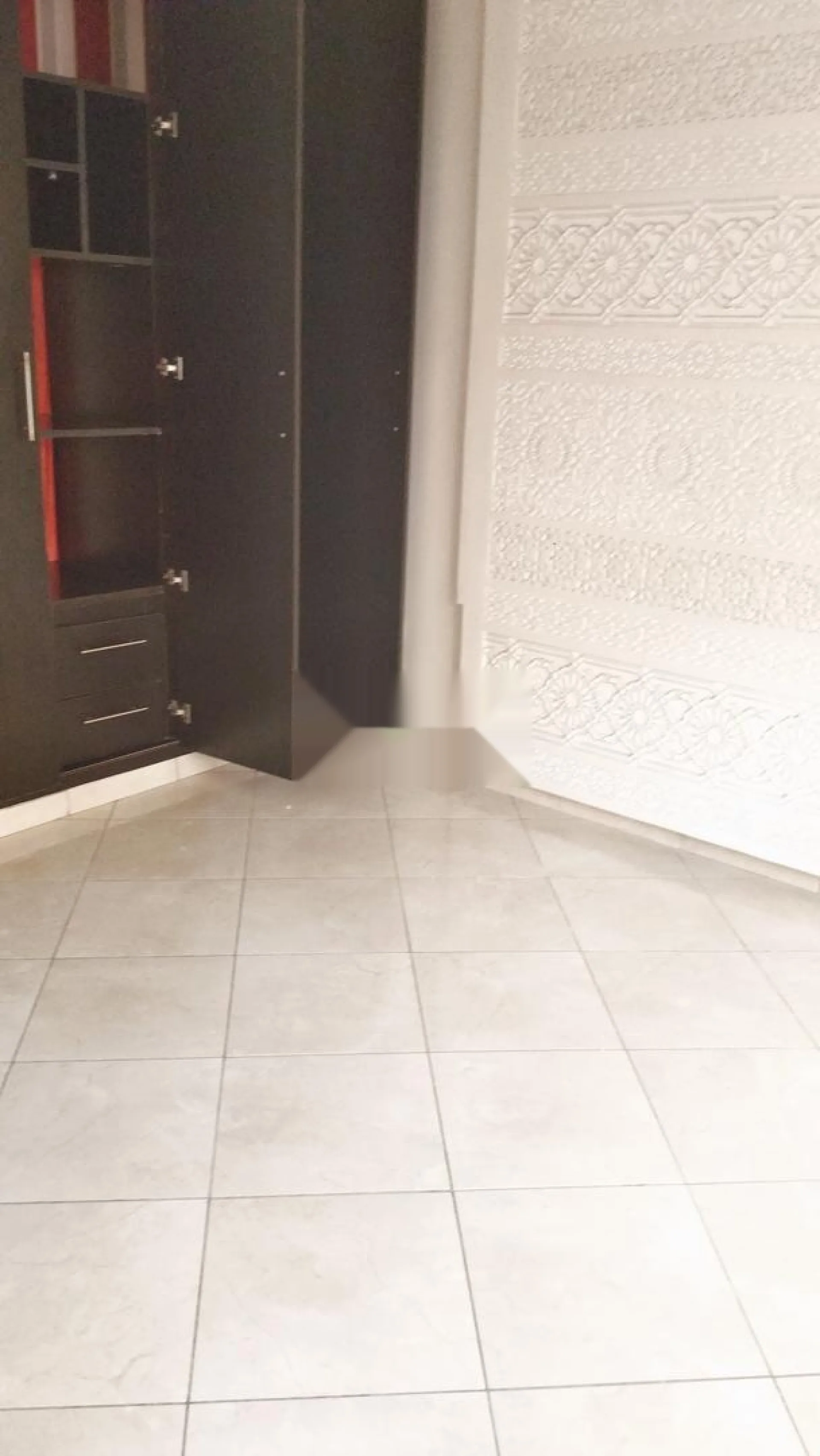 قرية عايدة