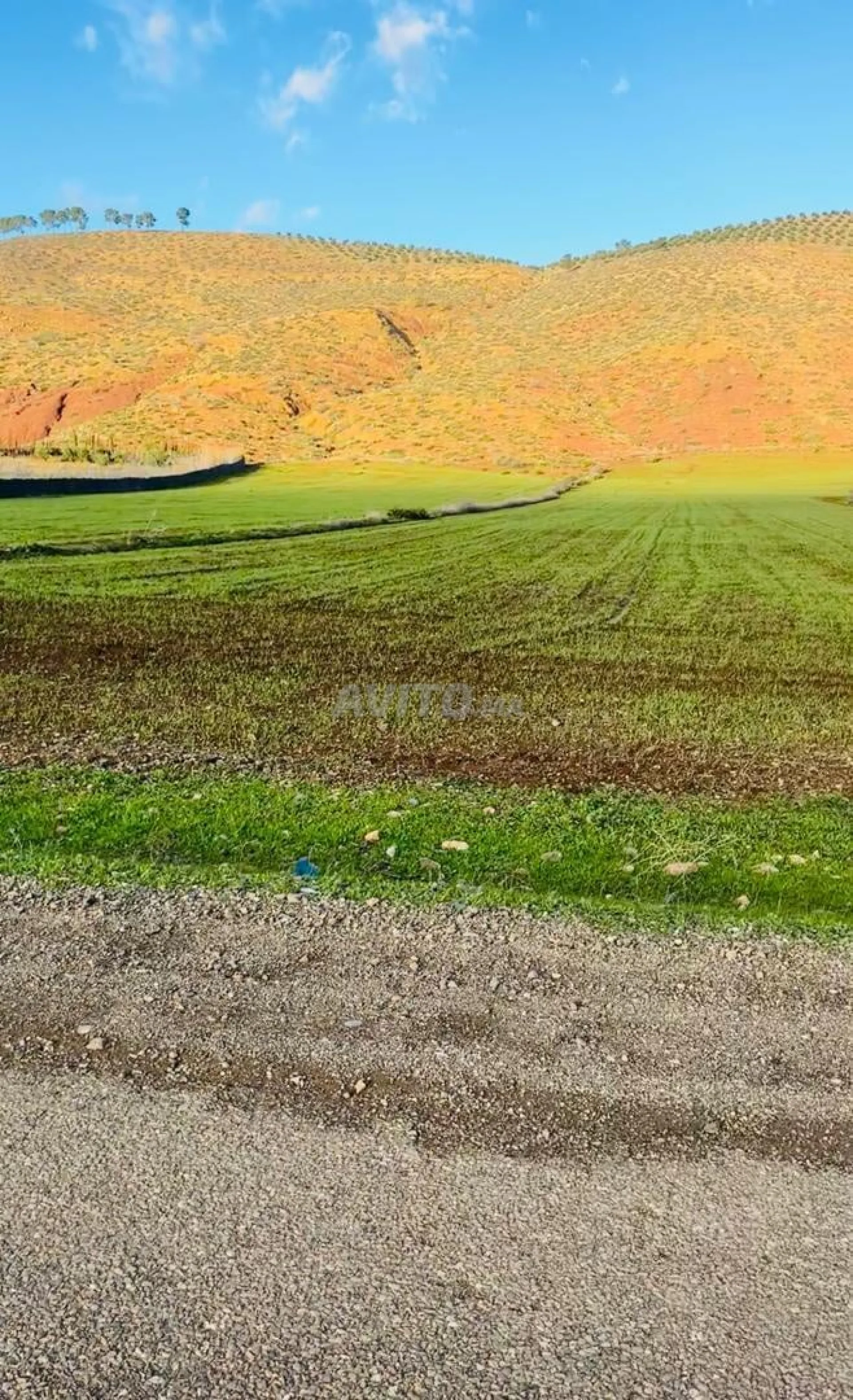 Hectare et demi protégé sur une excellente route