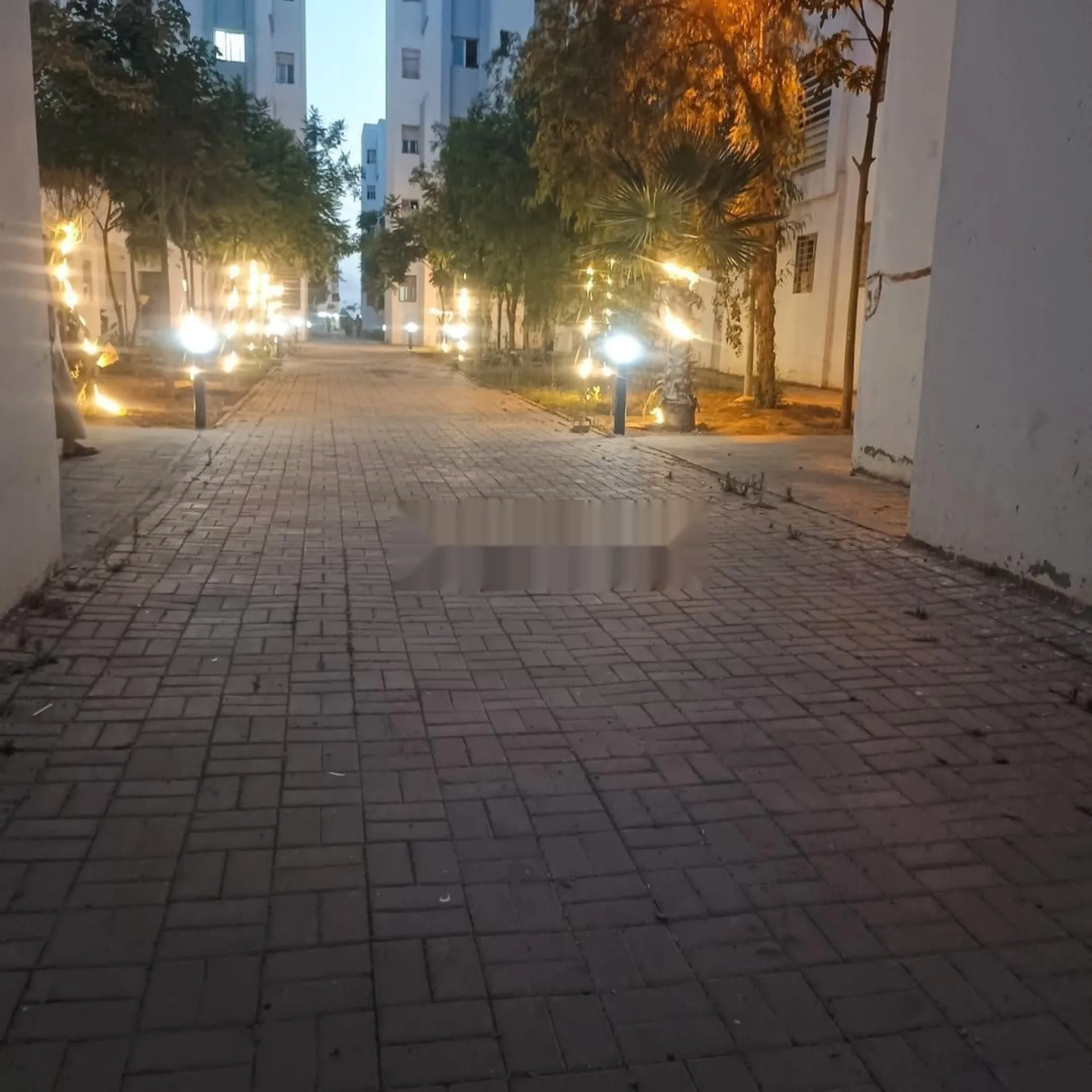 شقة مفروشة للإيجار