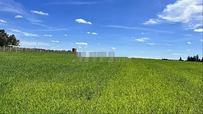 Terrains - Agriculture & Résidence - Tnine Chtouka