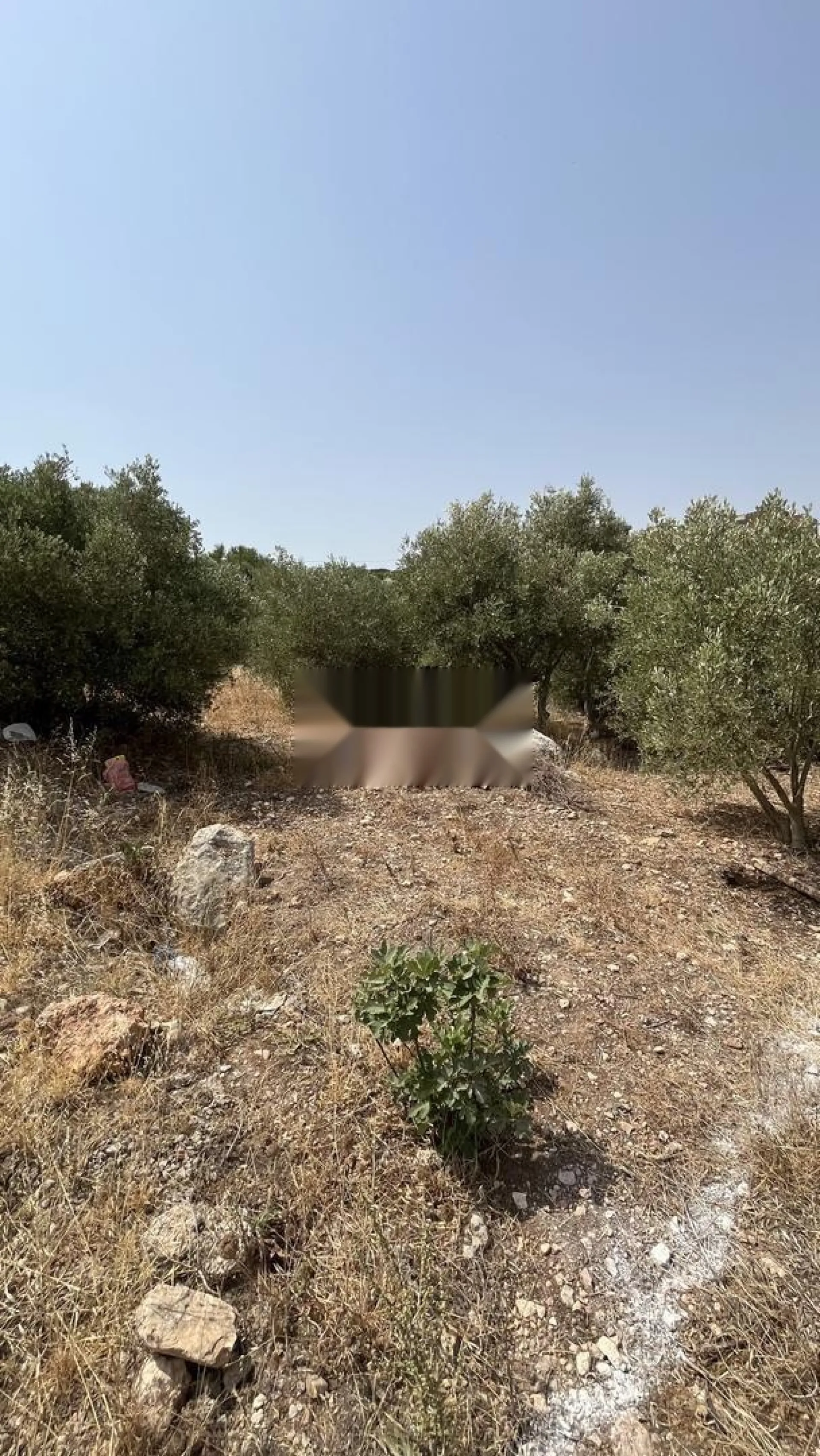 بني ڭريش دار الخياط