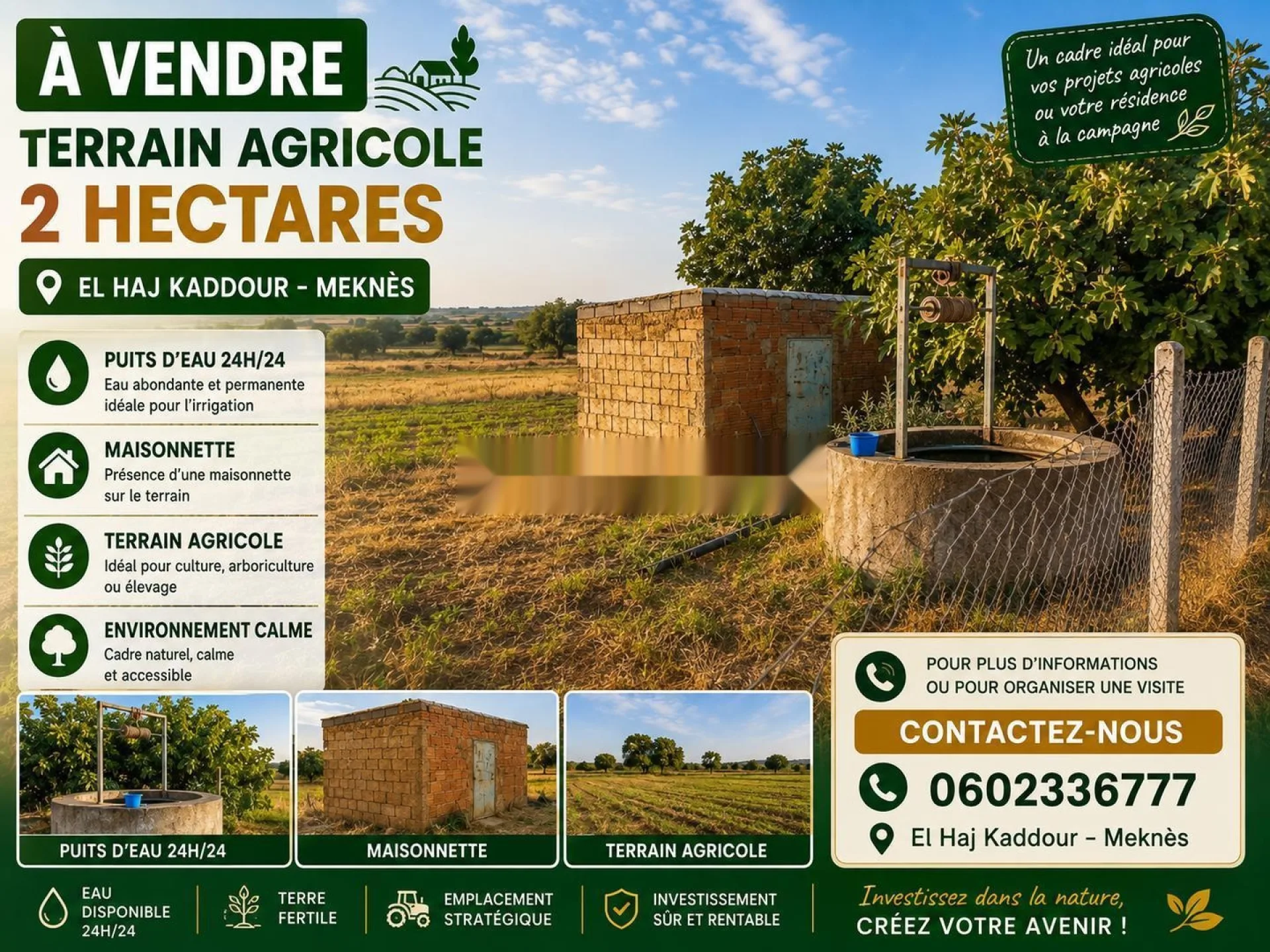 2 hectares à El Haj Kaddour prix intéressant