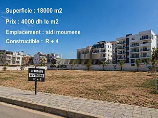 Excellentes opportunités pour investir