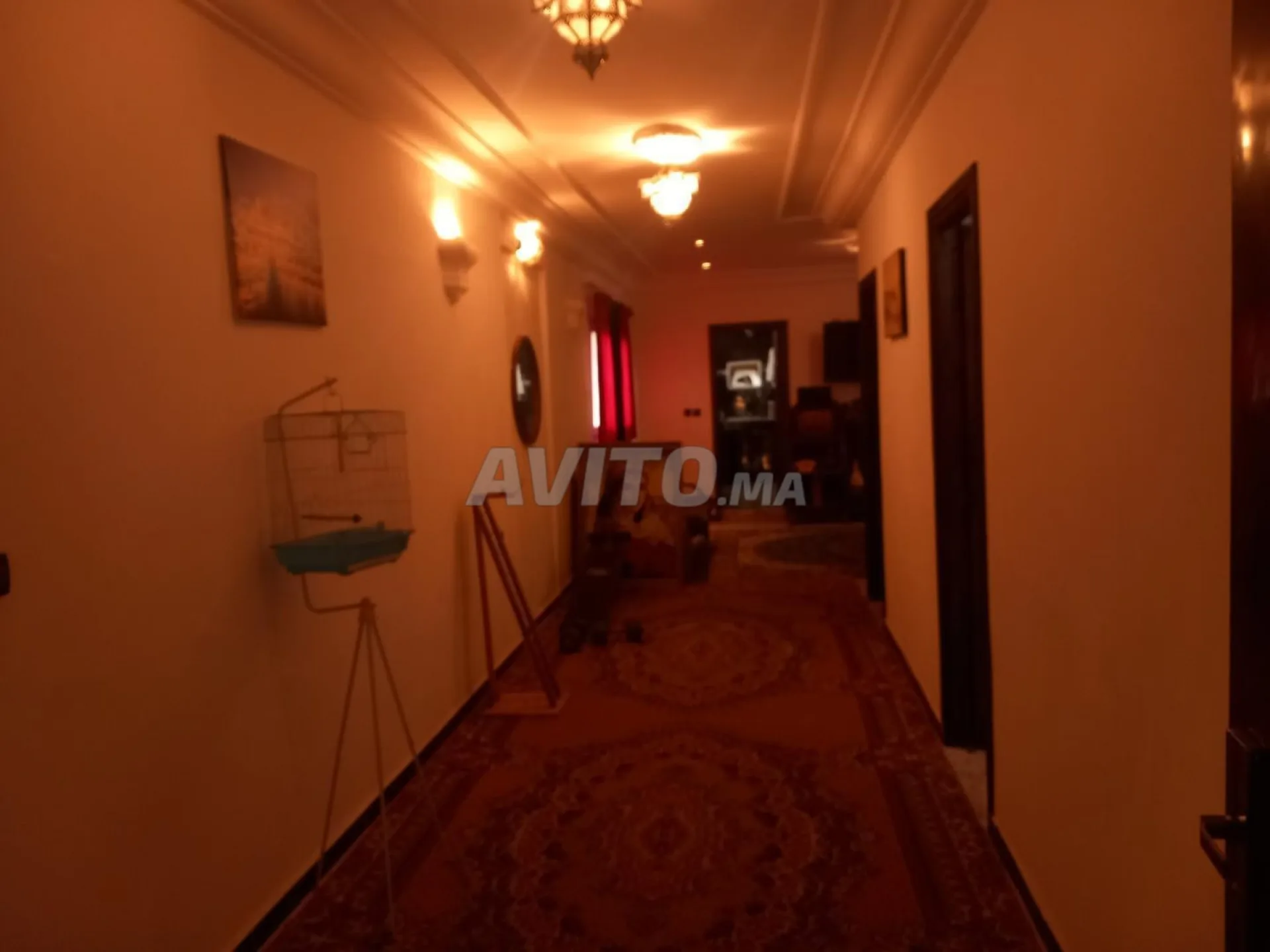 شقتان بمساحة 237 متر مربع في وسط المدينة للبيع