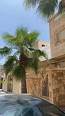 Villa à vendre à Ain Taoujdate