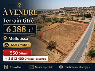 Opportunité d'investissement à Melloussa titré