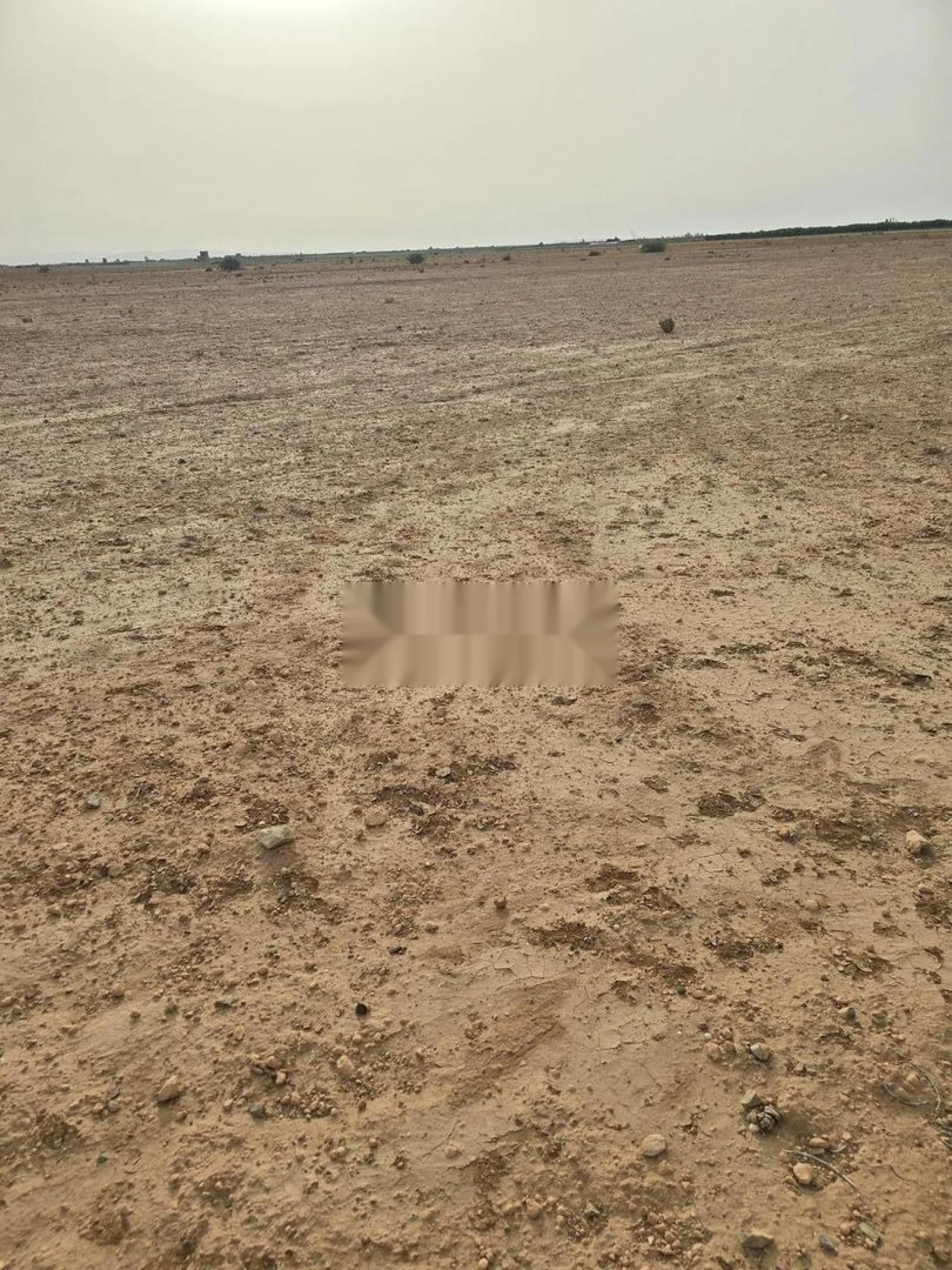 Terrain agricole à vendre 2 hectares environs Marrakech