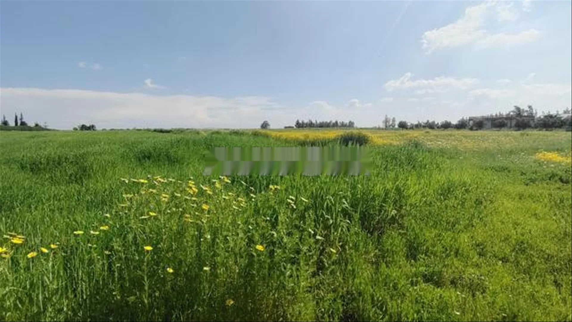 Vente de terrains et fermes