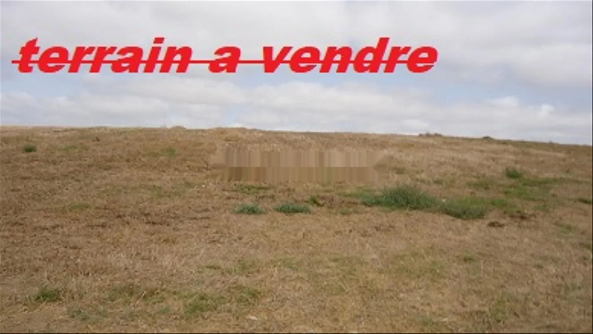 أرض فلاحية تجارية