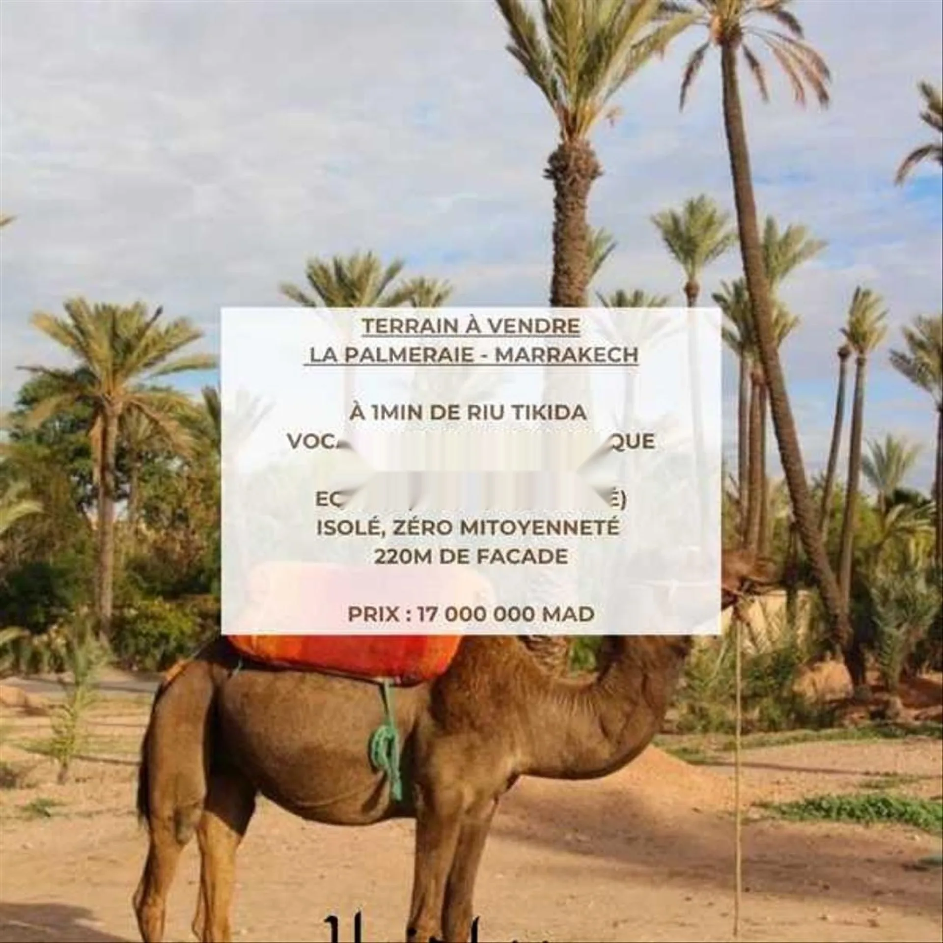 167213-Vente Terrain à Marrakech Palmeraie de 1013