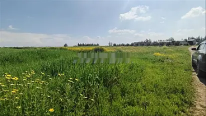 Terrains et fermes titrés - région Tnine Chtouka