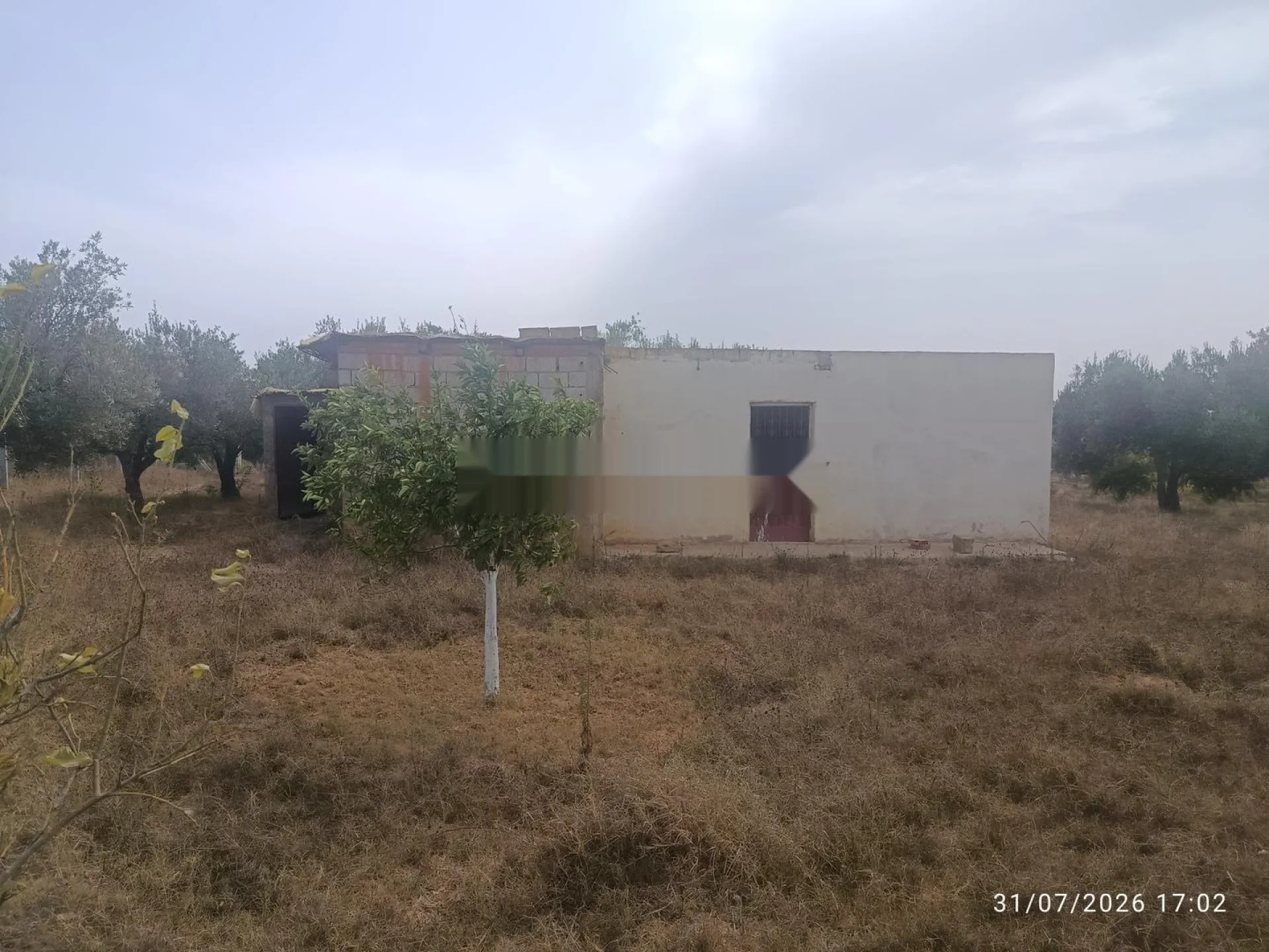 Ferme entièrement titrée 3100 m² Ain Jouhara
