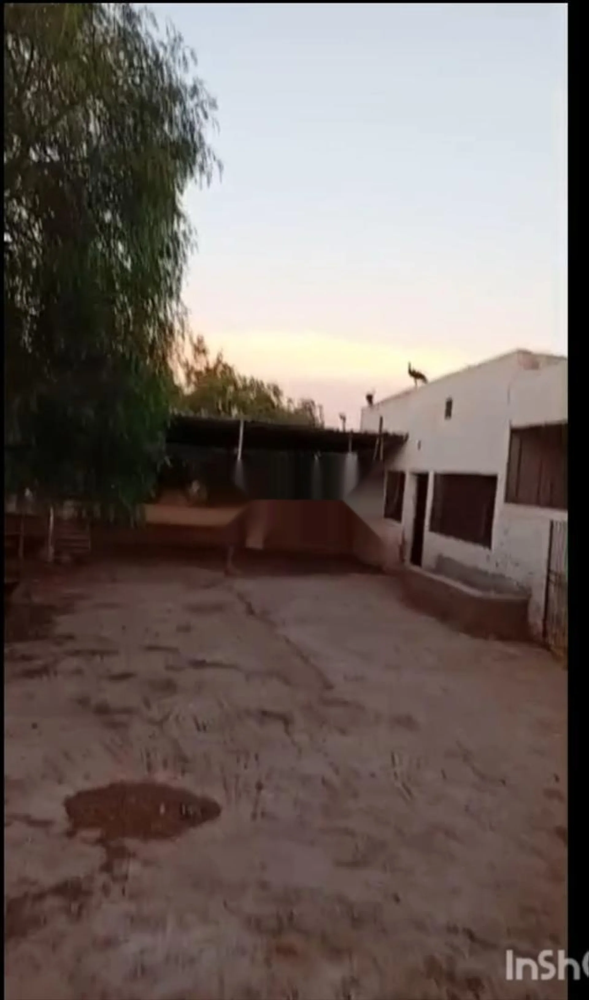 Ferme de 3.5 ha proche de Settat
